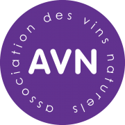 avn_-_logo.png