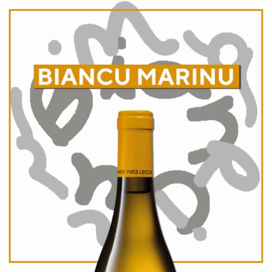 Biancu Marinu: our new heritage wine is unveiled