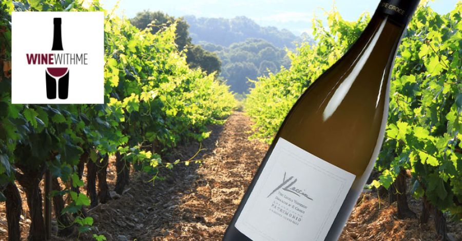 WineWithMe.fr : Wine of the week