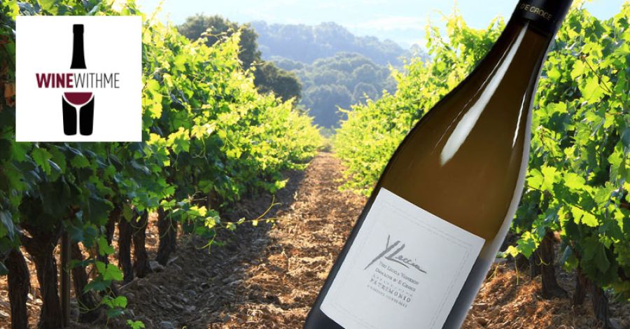 WineWithMe.fr : Le vin de la semaine