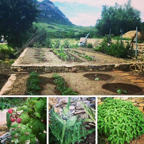 Having an organic garden is not rocket science! Did you know that?
